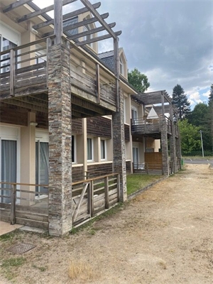t2 à la vente -   12140  ENTRAYGUES SUR TRUYERE, surface 34 m2 vente t2 - UBI479542157